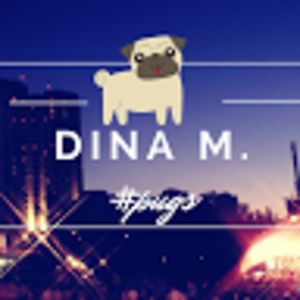 dinam_ avatar