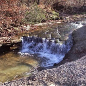 melissawright avatar