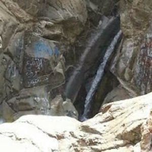 niazabdulkader avatar