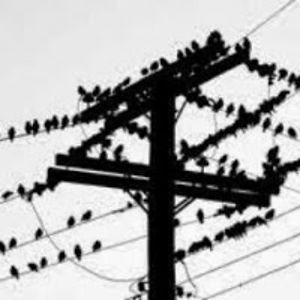 phillipaltstatt avatar