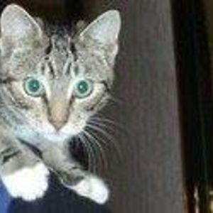 gregory_hoggarth avatar