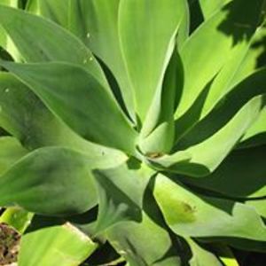 maggiewalker4265 avatar