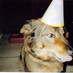 luisa_walter10 avatar