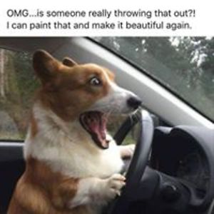 anne_saladino avatar