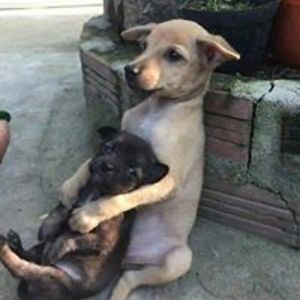 rosemary_martinez avatar