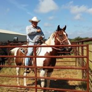 judystafford1960 avatar