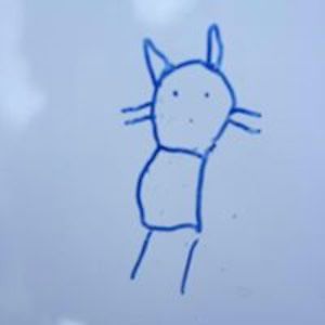 lorettaobuchowski avatar