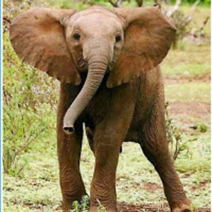 raeganfeldman avatar