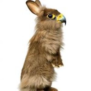 michelot_gaelle avatar