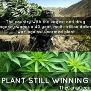 dale_worthington avatar