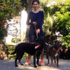 brittanny_fusilero avatar