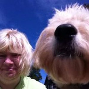 lotsoflovepetsit avatar