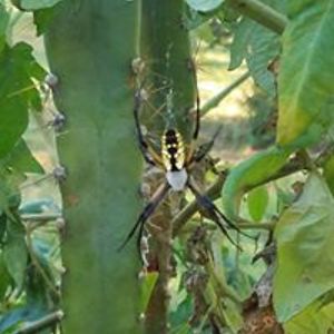 gariallenkelley avatar