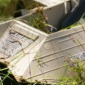 bluemagmaminecraft avatar