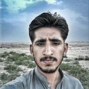 ferozeahmed54 avatar