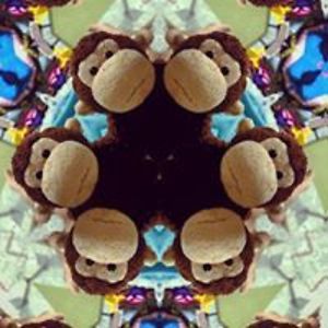 melliflous-complexity avatar