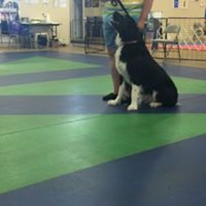 auntpattyjo54 avatar