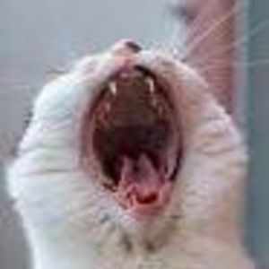 tanja_wagner6564 avatar