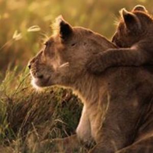 marijanatkova avatar