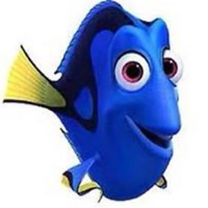 sharon_whitehall avatar