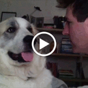 michaelspeller avatar