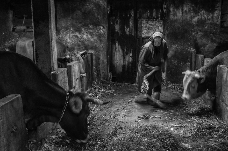 I Followed My 83-Year-Old Grandma Around Her Farm For One Day