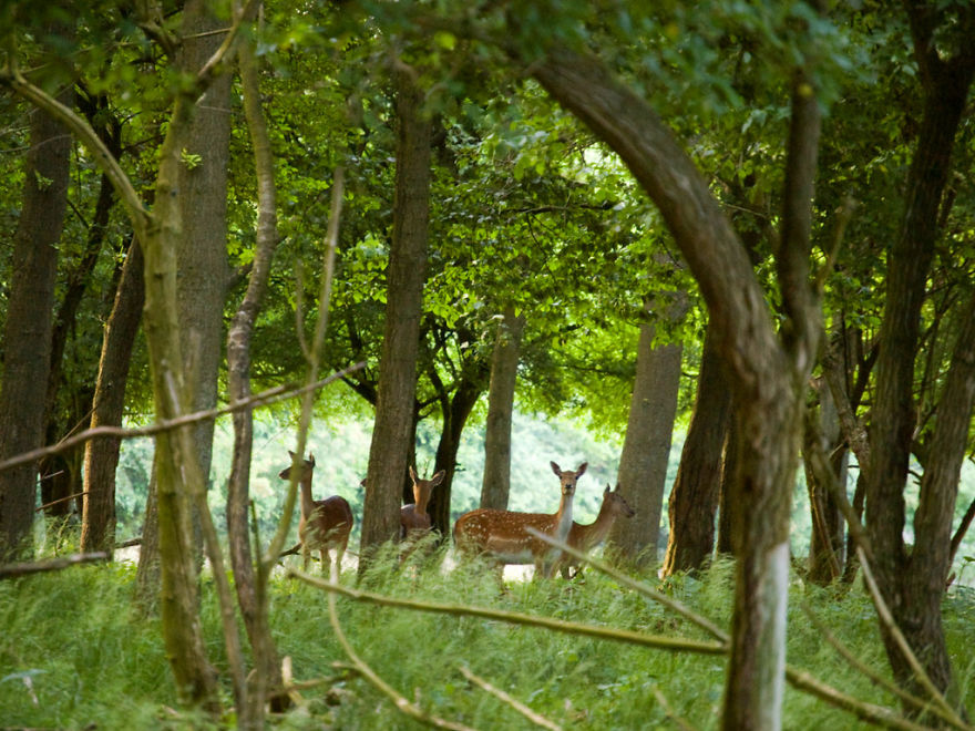 7 Things I Didn't Expect To See In Copenhagen 7 Things I Didn't Expect To See In Copenhagen