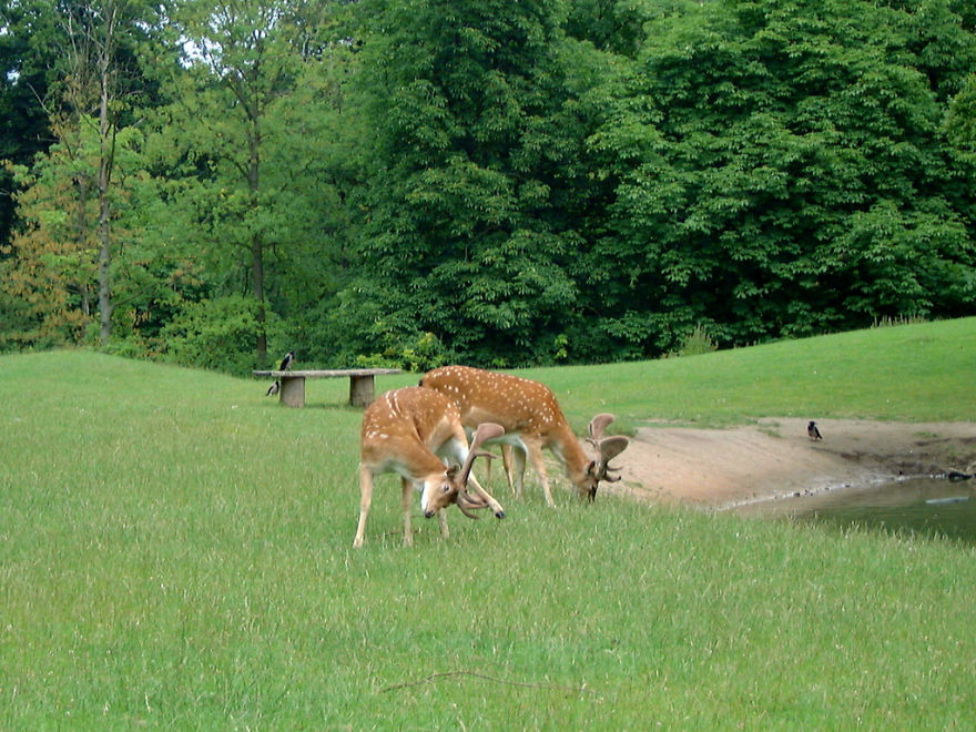 7 Things I Didn't Expect To See In Copenhagen 7 Things I Didn't Expect To See In Copenhagen