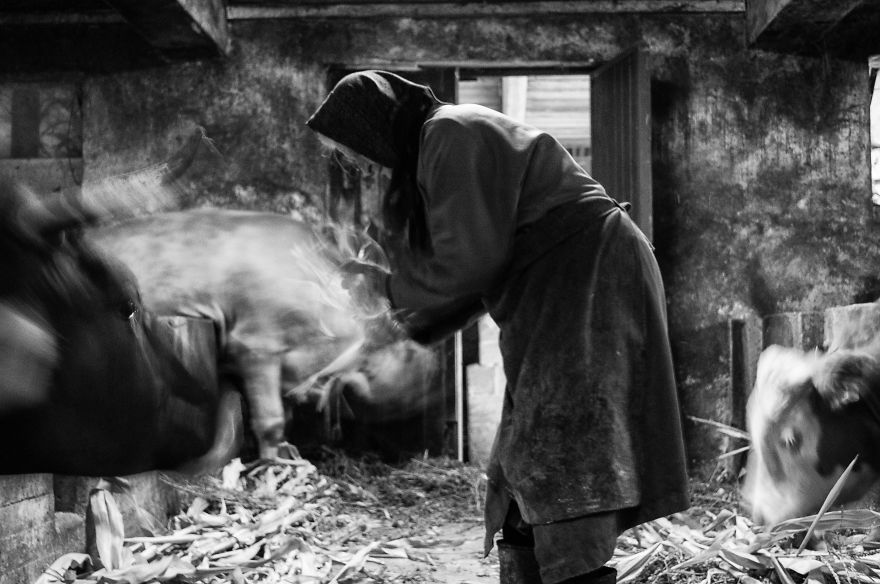 I Followed My 83-Year-Old Grandma Around Her Farm For One Day