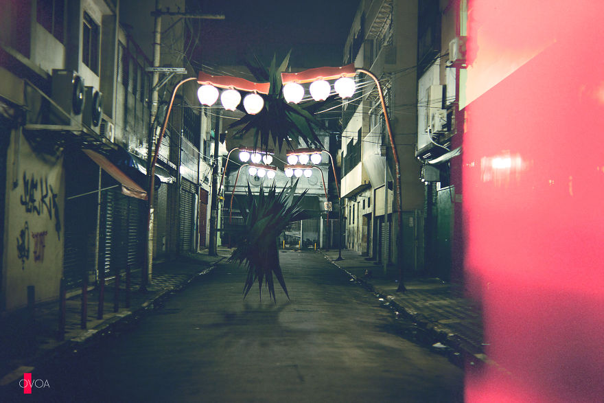 Adhd Architect Adhd Architect