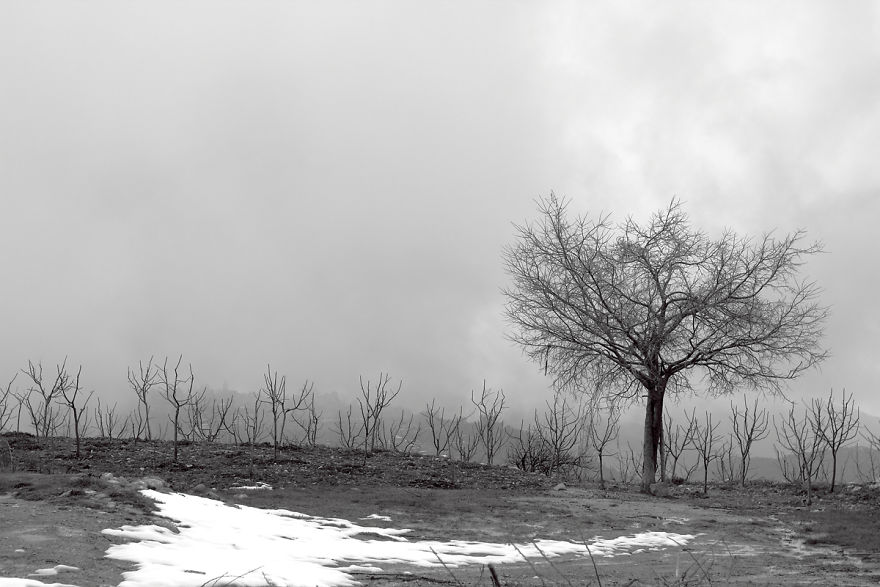 I Show The Beauty Of Lebanon In All Its Seasons