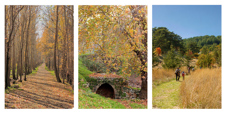 I Show The Beauty Of Lebanon In All Its Seasons