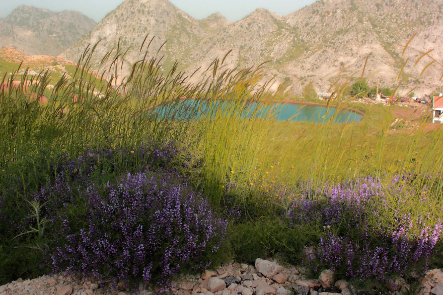 I Show The Beauty Of Lebanon In All Its Seasons