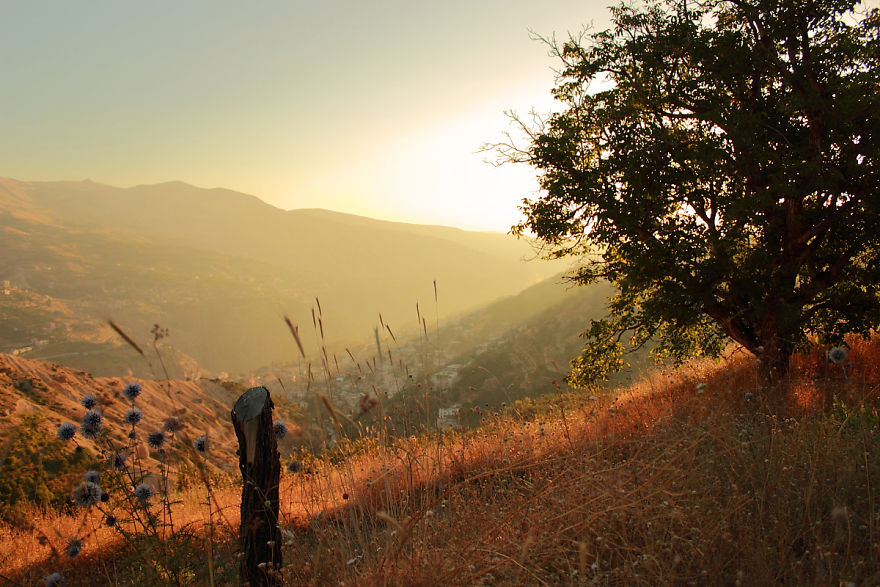 I Show The Beauty Of Lebanon In All Its Seasons