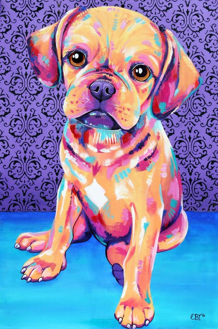 I Paint Colourful Animal Portraits With A Twist