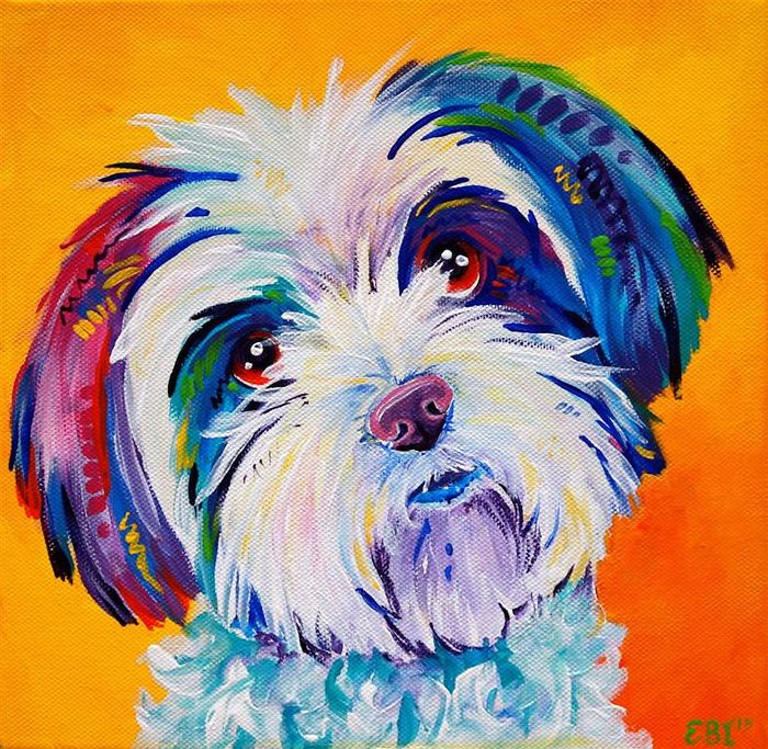 I Paint Colourful Animal Portraits With A Twist