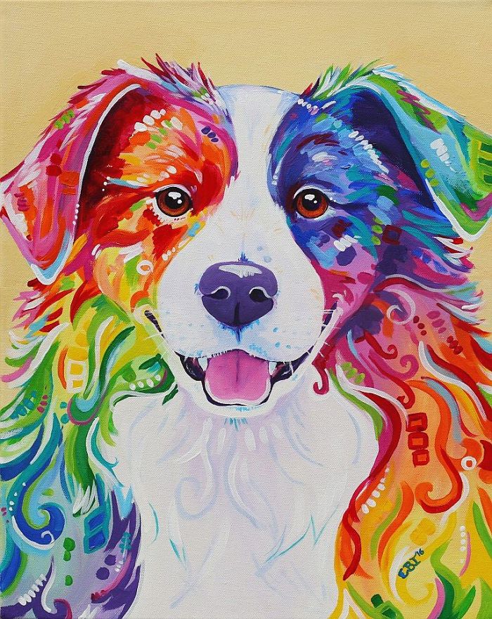 I Paint Colourful Animal Portraits With A Twist