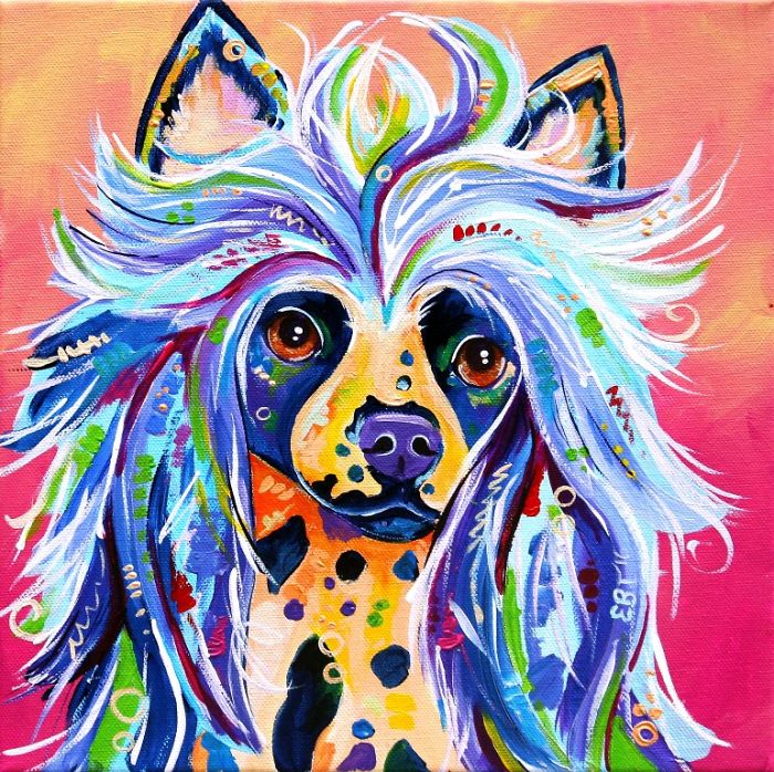 I Paint Colourful Animal Portraits With A Twist