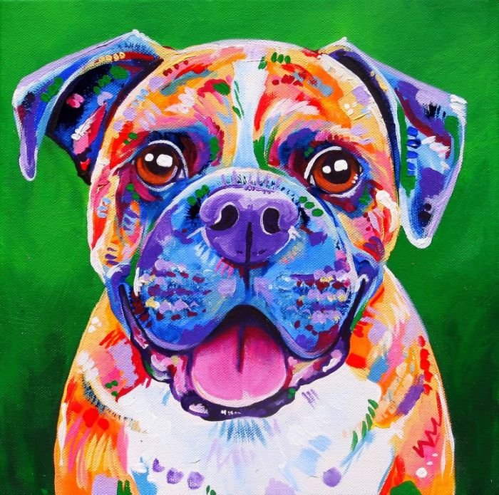 I Paint Colourful Animal Portraits With A Twist