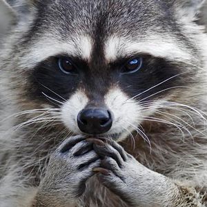 linda-bekkemellem avatar