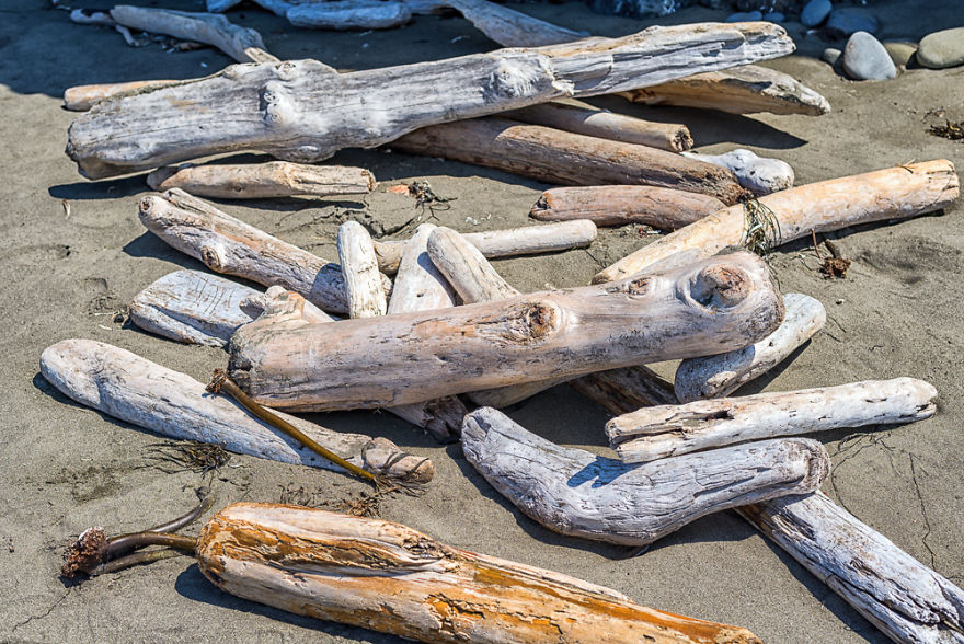 Can You Find Hidden Beach?