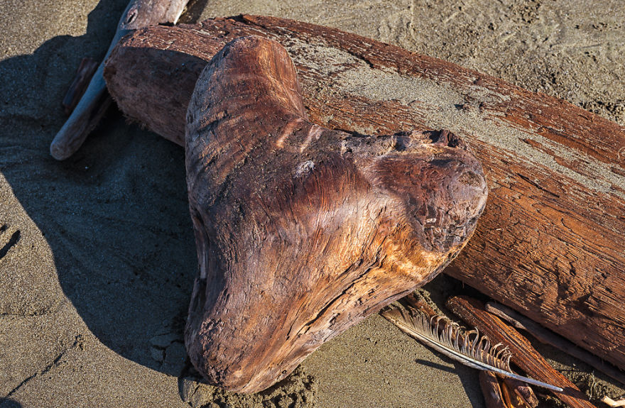 Can You Find Hidden Beach?