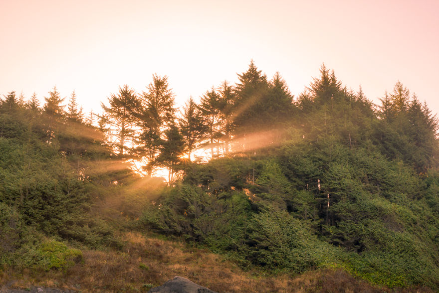 Can You Find Hidden Beach?