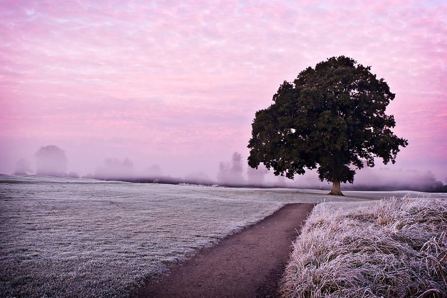 20 Composition Techniques That Will Make Your Photos Look Better