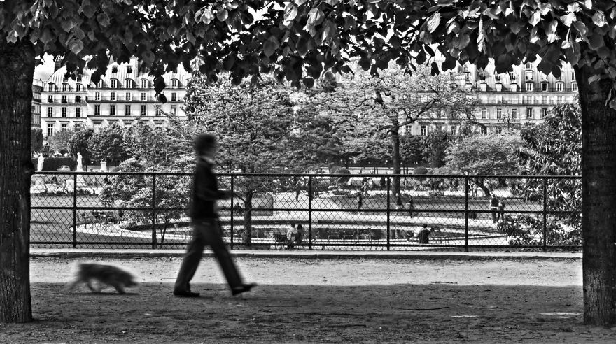 20 Composition Techniques That Will Make Your Photos Look Better