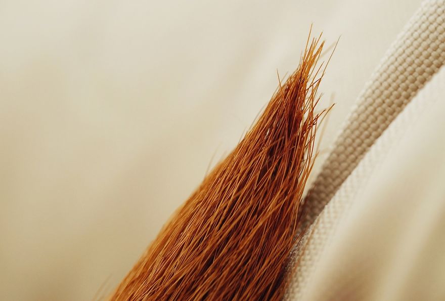 I Shot Detailed Macro Pictures Of My Lovely Dog