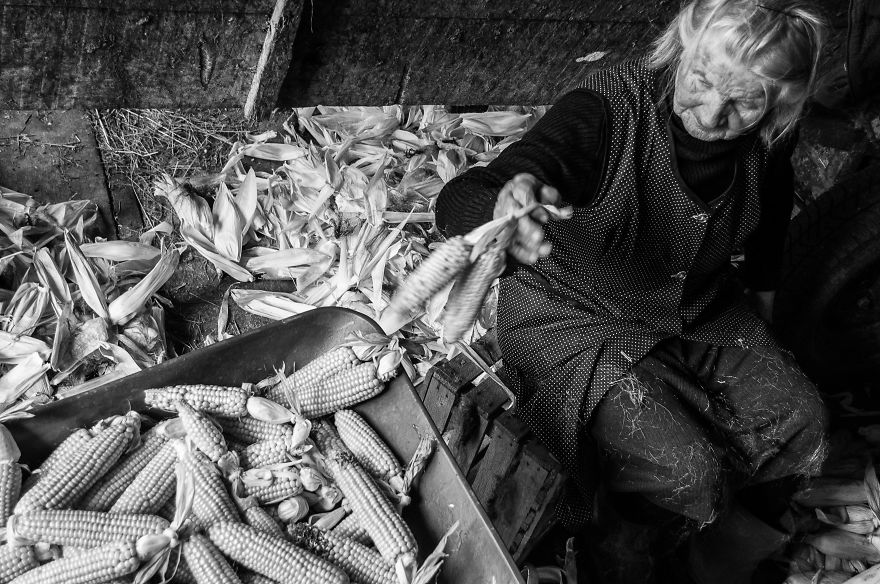 I Followed My 83-Year-Old Grandma Around Her Farm For One Day