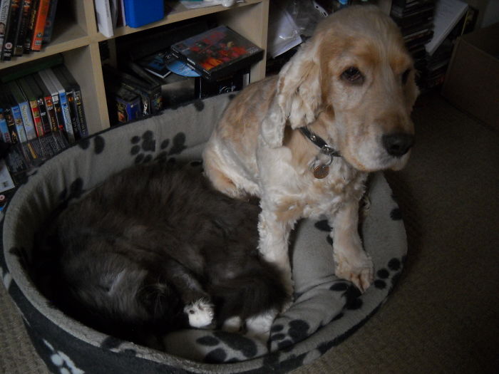 "... But I Don't Want To Share...."