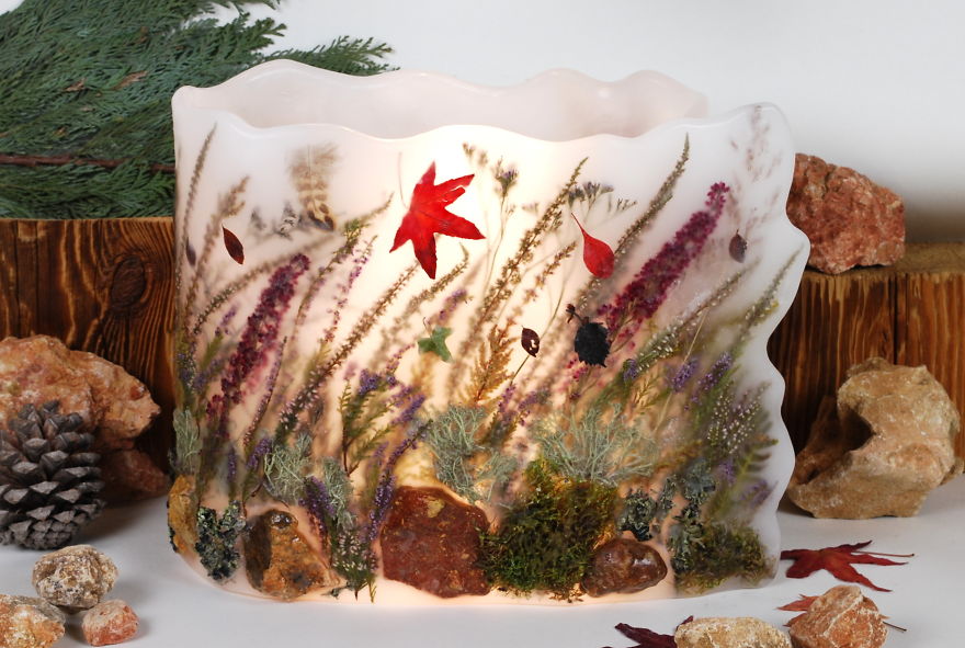 I Simply Love Autumn And Heathers!