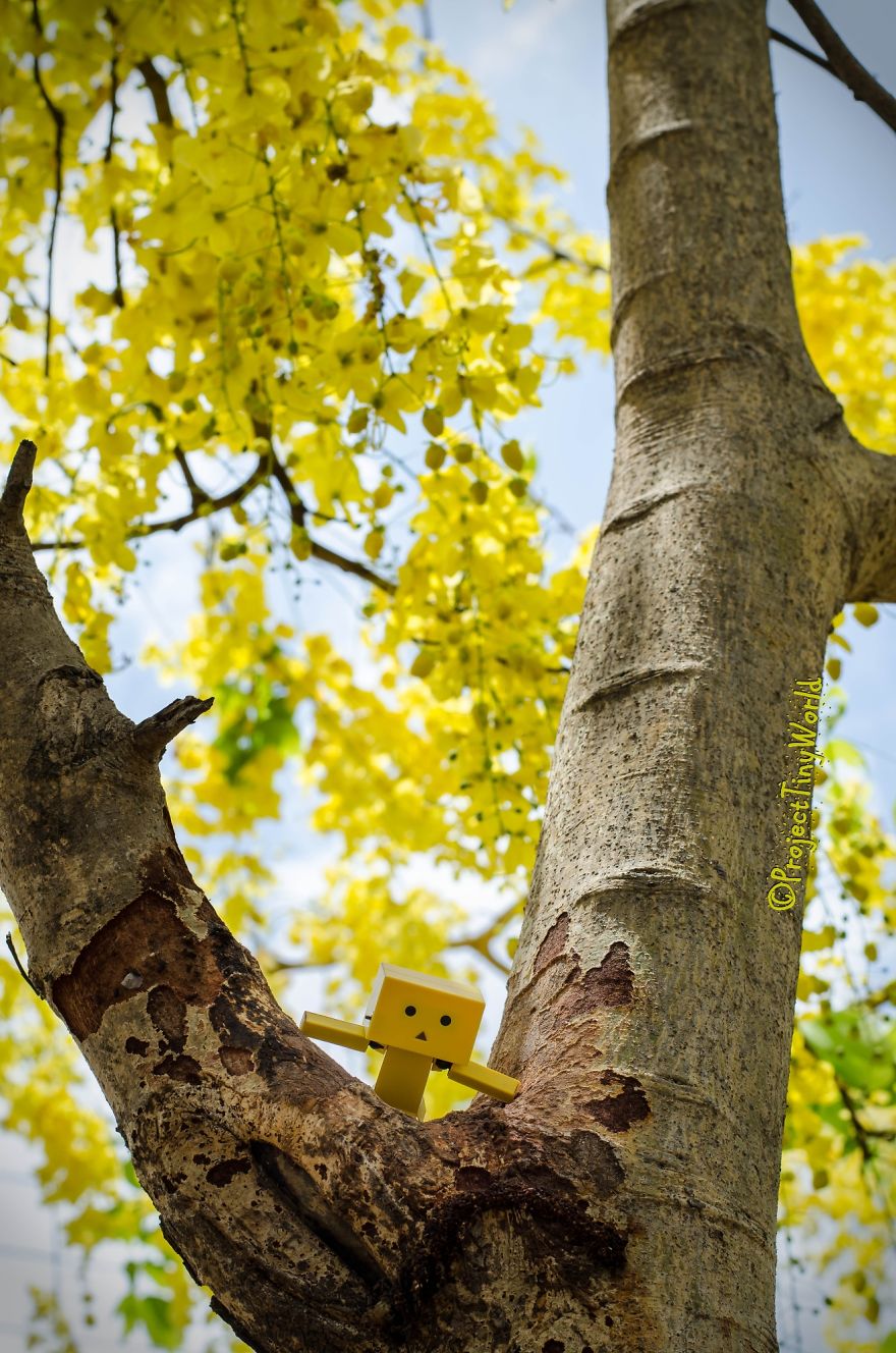 I Make Light-hearted Photographs Using Tiny Toys